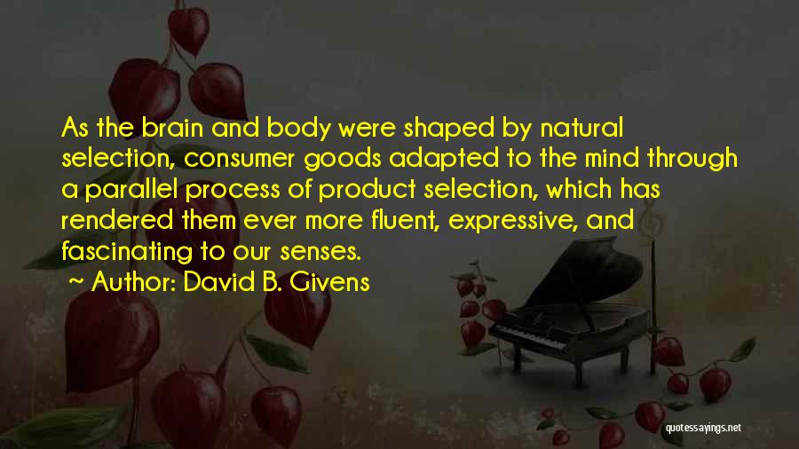 David B. Givens Quotes: As The Brain And Body Were Shaped By Natural Selection, Consumer Goods Adapted To The Mind Through A Parallel Process