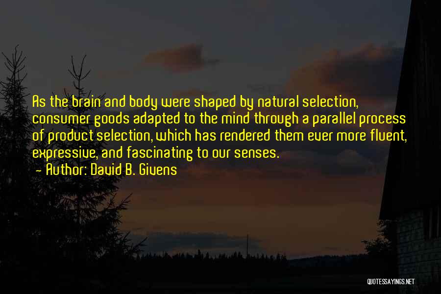 David B. Givens Quotes: As The Brain And Body Were Shaped By Natural Selection, Consumer Goods Adapted To The Mind Through A Parallel Process