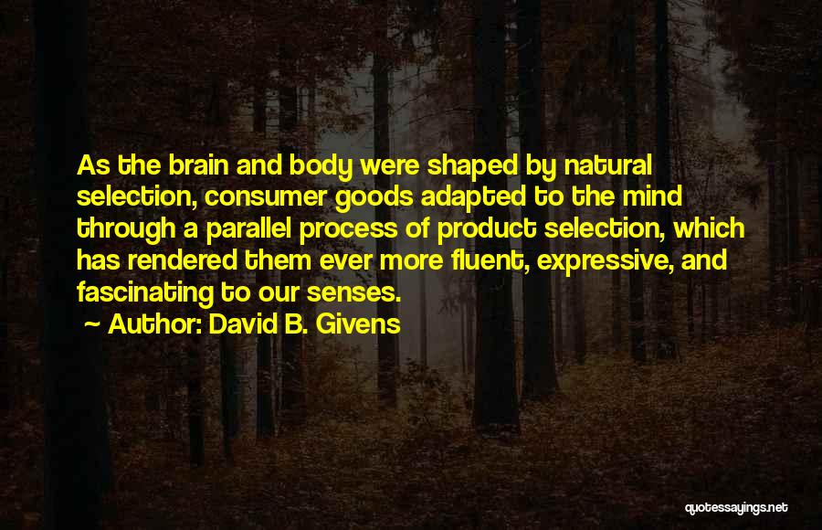 David B. Givens Quotes: As The Brain And Body Were Shaped By Natural Selection, Consumer Goods Adapted To The Mind Through A Parallel Process