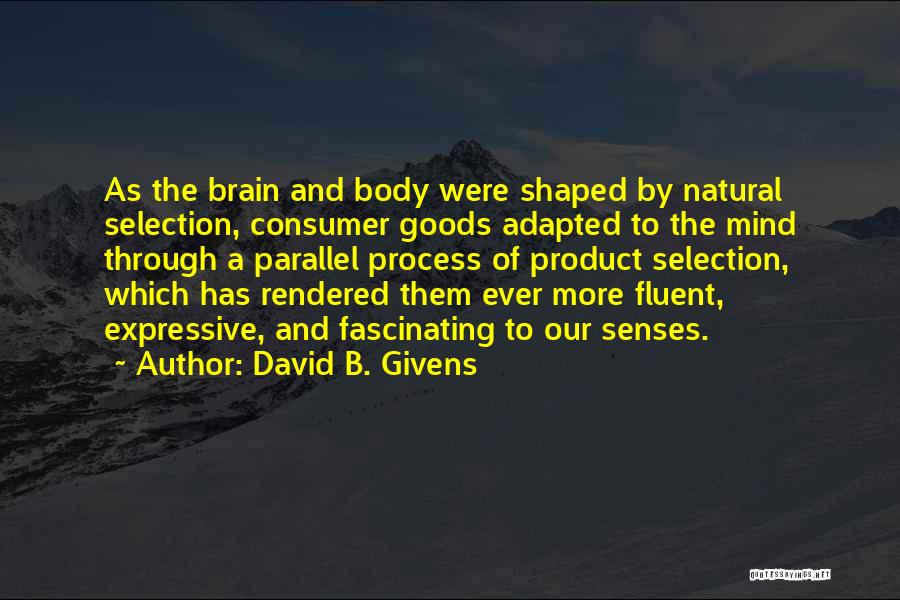 David B. Givens Quotes: As The Brain And Body Were Shaped By Natural Selection, Consumer Goods Adapted To The Mind Through A Parallel Process
