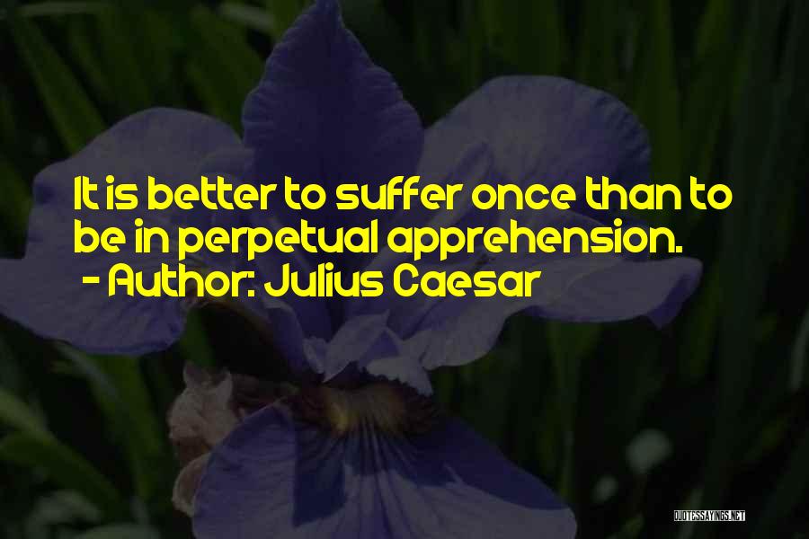 Julius Caesar Quotes: It Is Better To Suffer Once Than To Be In Perpetual Apprehension.