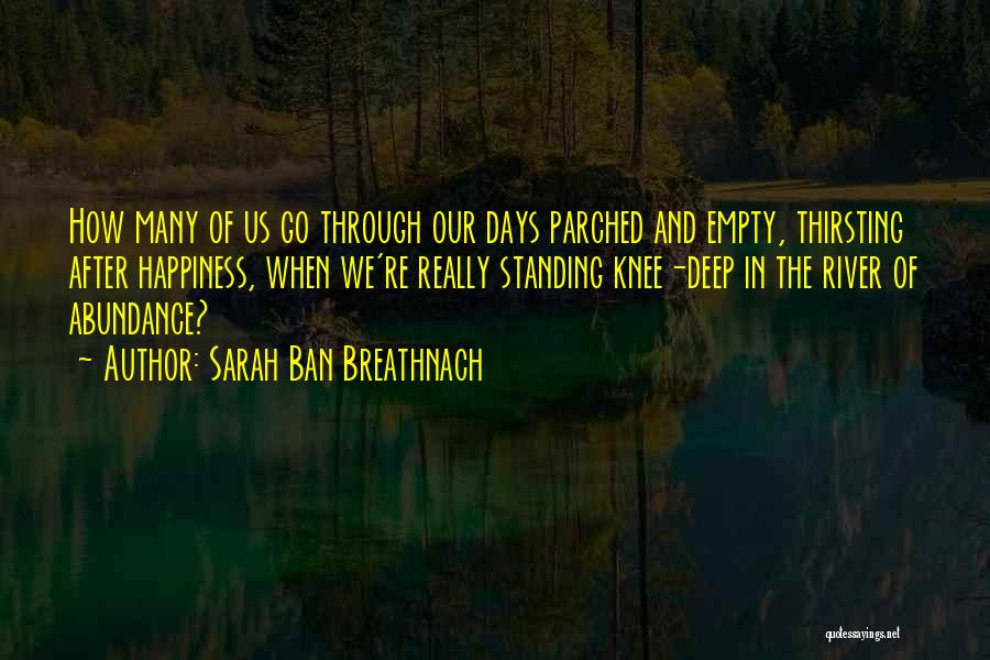 Sarah Ban Breathnach Quotes: How Many Of Us Go Through Our Days Parched And Empty, Thirsting After Happiness, When We're Really Standing Knee-deep In