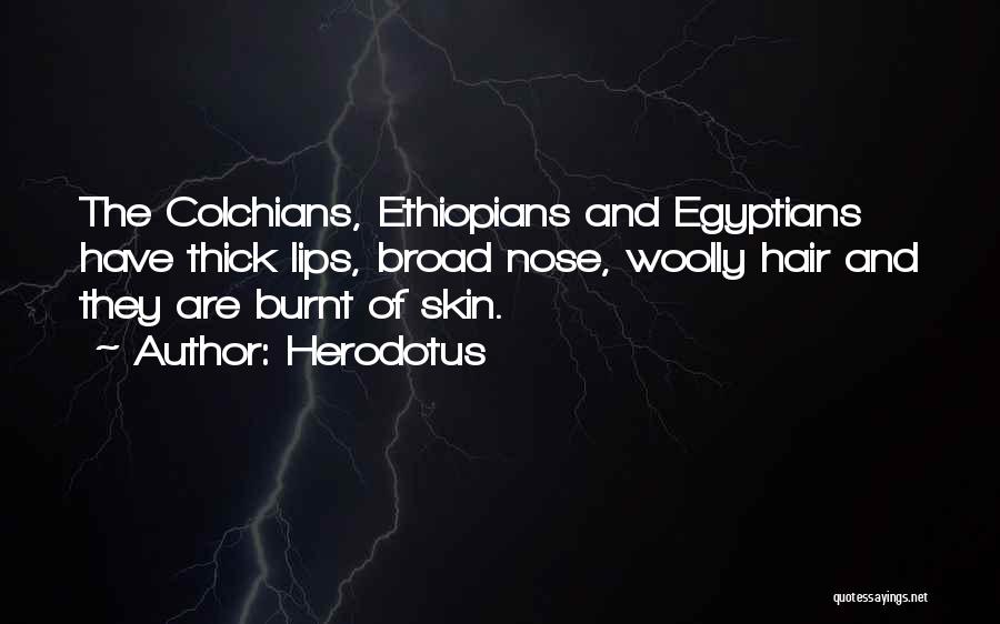 Herodotus Quotes: The Colchians, Ethiopians And Egyptians Have Thick Lips, Broad Nose, Woolly Hair And They Are Burnt Of Skin.