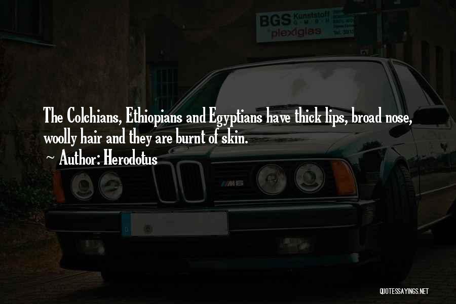 Herodotus Quotes: The Colchians, Ethiopians And Egyptians Have Thick Lips, Broad Nose, Woolly Hair And They Are Burnt Of Skin.