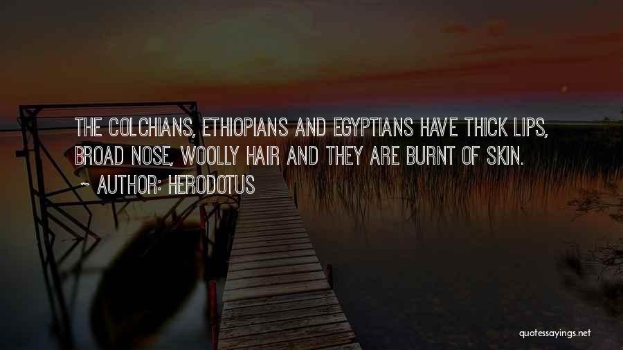 Herodotus Quotes: The Colchians, Ethiopians And Egyptians Have Thick Lips, Broad Nose, Woolly Hair And They Are Burnt Of Skin.