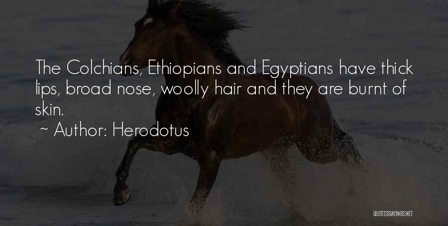 Herodotus Quotes: The Colchians, Ethiopians And Egyptians Have Thick Lips, Broad Nose, Woolly Hair And They Are Burnt Of Skin.