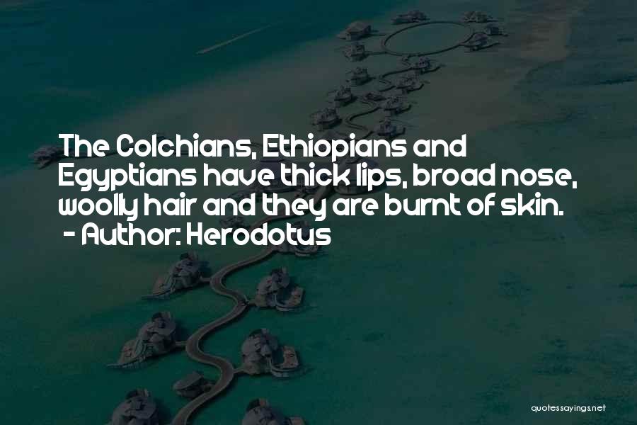 Herodotus Quotes: The Colchians, Ethiopians And Egyptians Have Thick Lips, Broad Nose, Woolly Hair And They Are Burnt Of Skin.