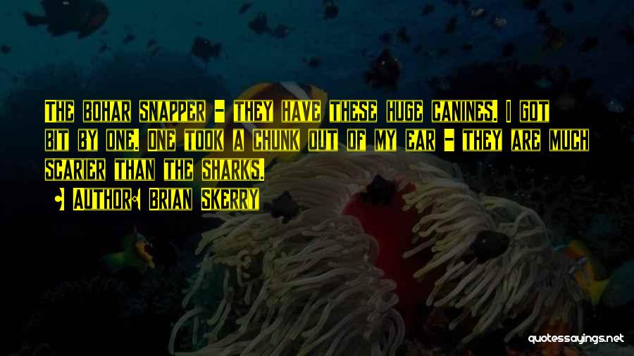 Brian Skerry Quotes: The Bohar Snapper - They Have These Huge Canines. I Got Bit By One. One Took A Chunk Out Of