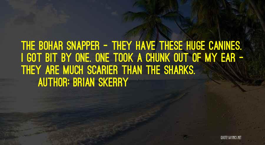 Brian Skerry Quotes: The Bohar Snapper - They Have These Huge Canines. I Got Bit By One. One Took A Chunk Out Of