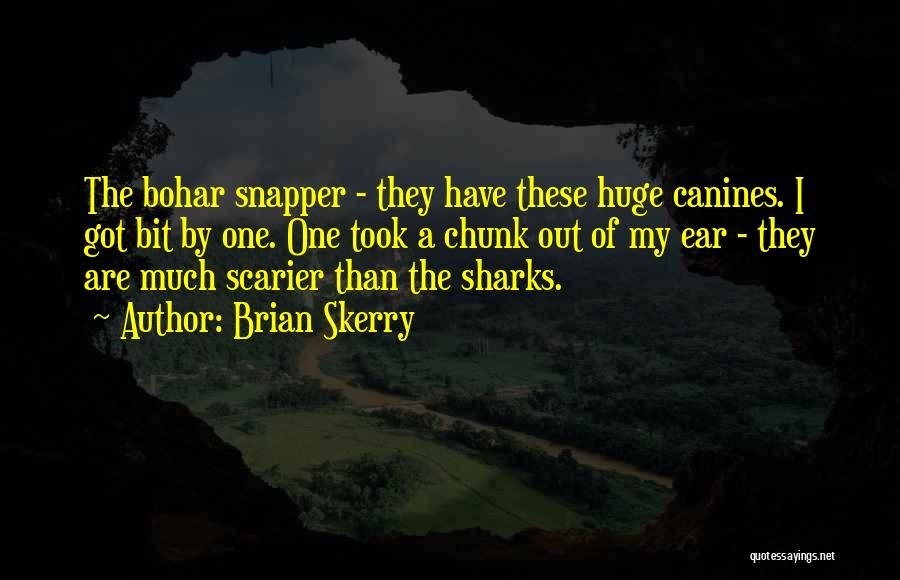 Brian Skerry Quotes: The Bohar Snapper - They Have These Huge Canines. I Got Bit By One. One Took A Chunk Out Of