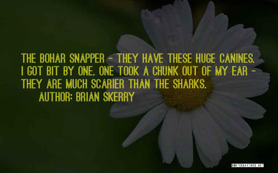 Brian Skerry Quotes: The Bohar Snapper - They Have These Huge Canines. I Got Bit By One. One Took A Chunk Out Of