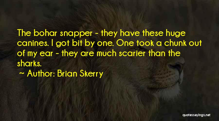 Brian Skerry Quotes: The Bohar Snapper - They Have These Huge Canines. I Got Bit By One. One Took A Chunk Out Of