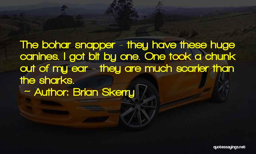 Brian Skerry Quotes: The Bohar Snapper - They Have These Huge Canines. I Got Bit By One. One Took A Chunk Out Of