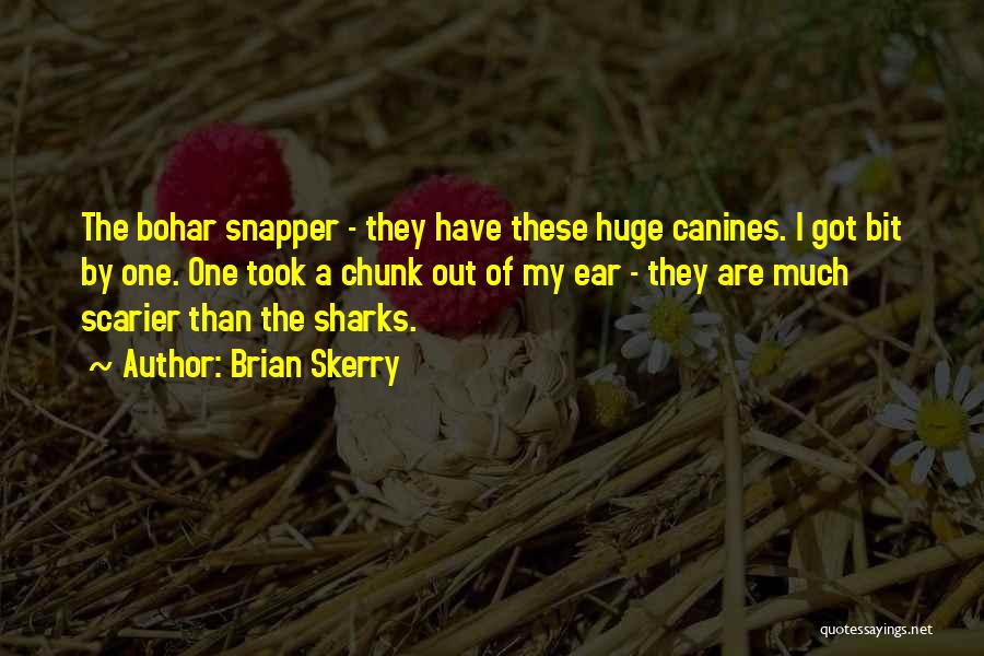 Brian Skerry Quotes: The Bohar Snapper - They Have These Huge Canines. I Got Bit By One. One Took A Chunk Out Of