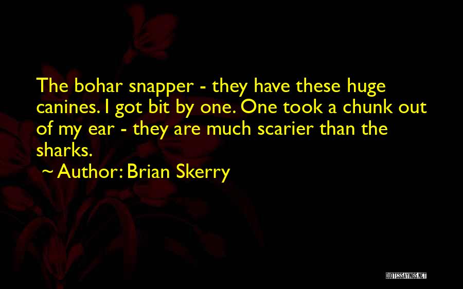 Brian Skerry Quotes: The Bohar Snapper - They Have These Huge Canines. I Got Bit By One. One Took A Chunk Out Of