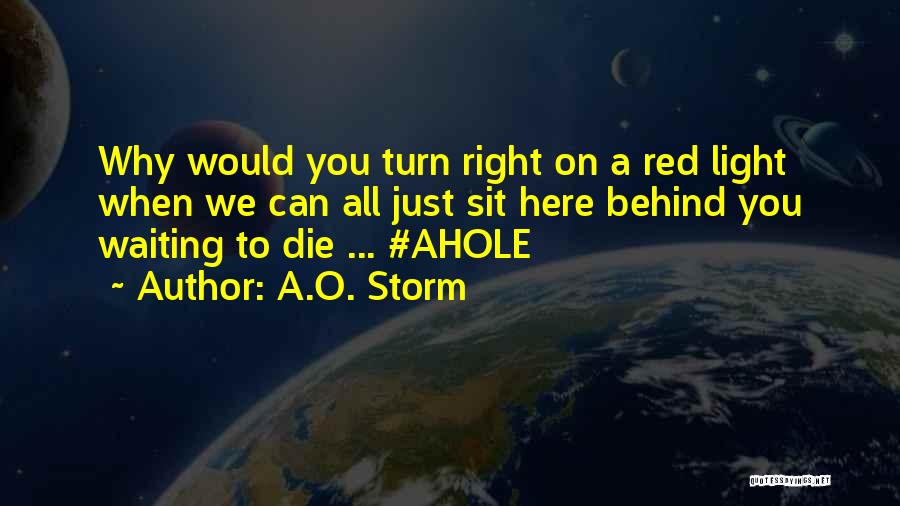 A.O. Storm Quotes: Why Would You Turn Right On A Red Light When We Can All Just Sit Here Behind You Waiting To