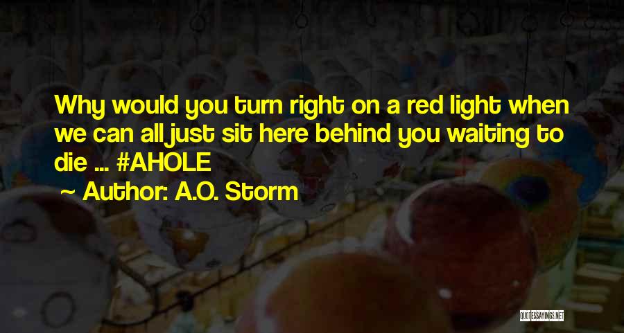 A.O. Storm Quotes: Why Would You Turn Right On A Red Light When We Can All Just Sit Here Behind You Waiting To