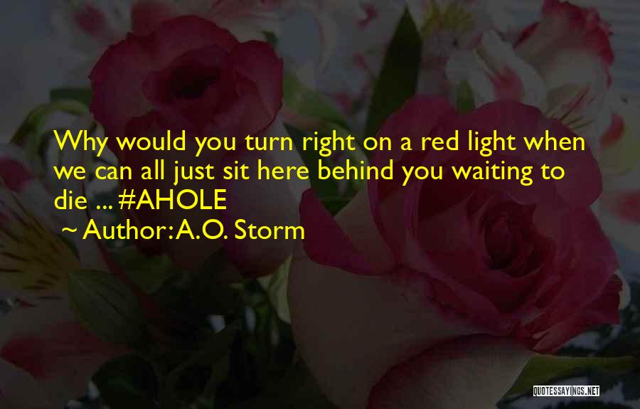 A.O. Storm Quotes: Why Would You Turn Right On A Red Light When We Can All Just Sit Here Behind You Waiting To