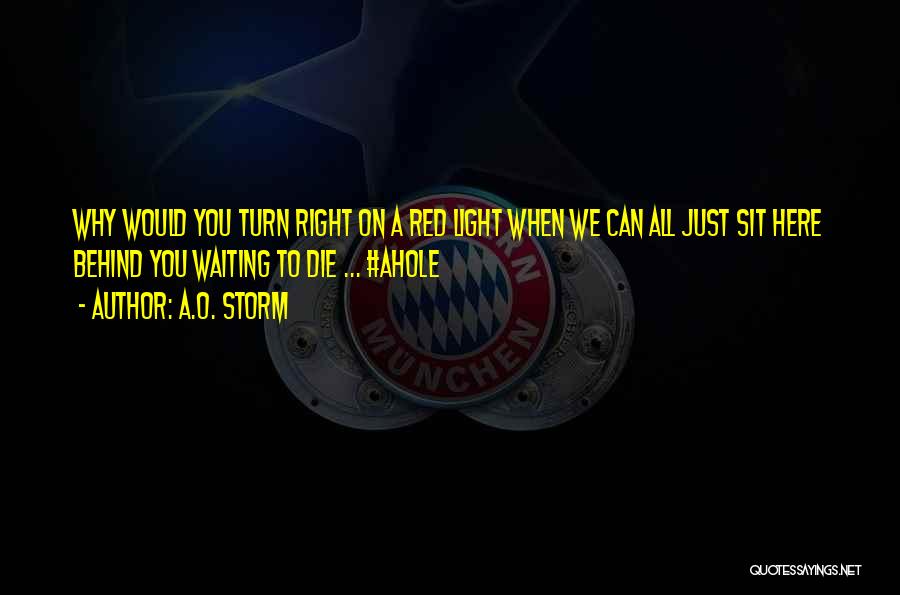 A.O. Storm Quotes: Why Would You Turn Right On A Red Light When We Can All Just Sit Here Behind You Waiting To