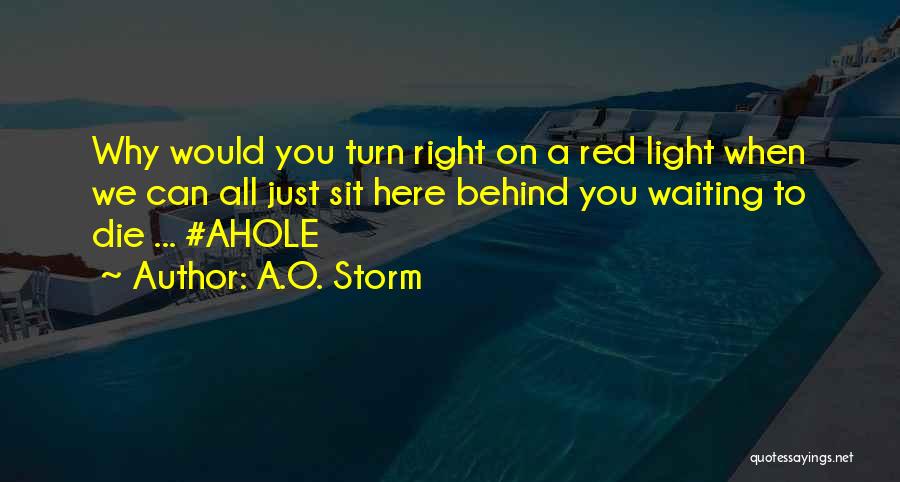 A.O. Storm Quotes: Why Would You Turn Right On A Red Light When We Can All Just Sit Here Behind You Waiting To