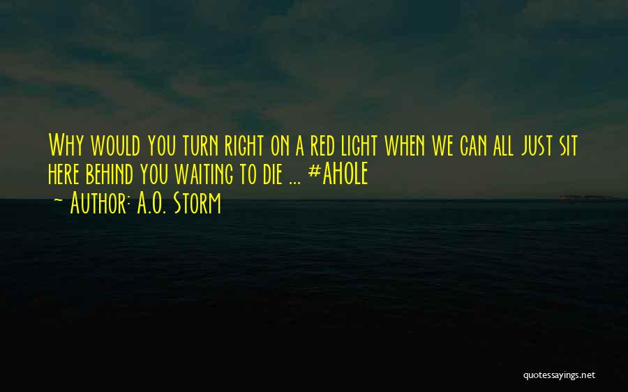 A.O. Storm Quotes: Why Would You Turn Right On A Red Light When We Can All Just Sit Here Behind You Waiting To