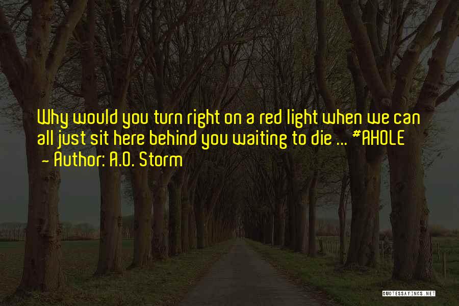 A.O. Storm Quotes: Why Would You Turn Right On A Red Light When We Can All Just Sit Here Behind You Waiting To