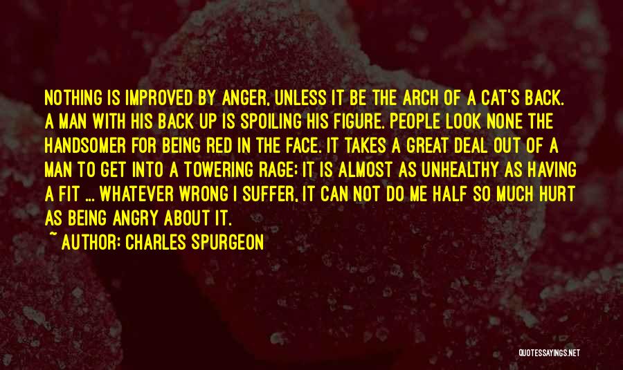 Charles Spurgeon Quotes: Nothing Is Improved By Anger, Unless It Be The Arch Of A Cat's Back. A Man With His Back Up