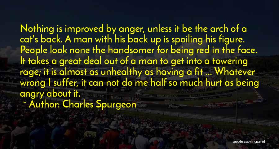 Charles Spurgeon Quotes: Nothing Is Improved By Anger, Unless It Be The Arch Of A Cat's Back. A Man With His Back Up