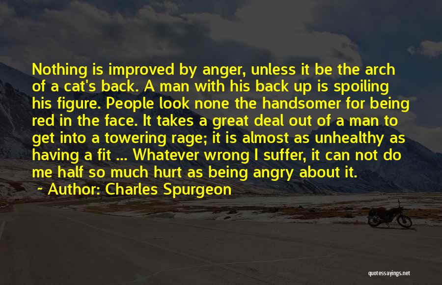 Charles Spurgeon Quotes: Nothing Is Improved By Anger, Unless It Be The Arch Of A Cat's Back. A Man With His Back Up