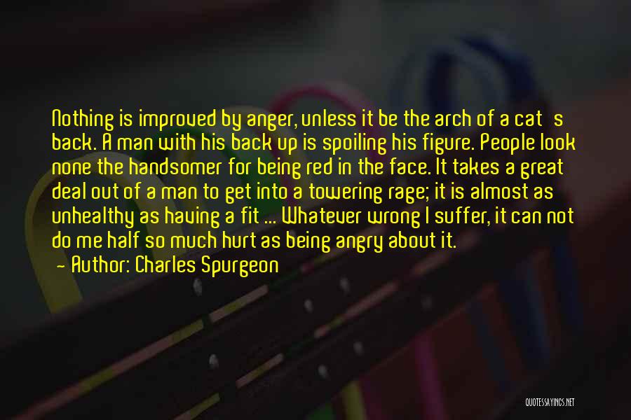 Charles Spurgeon Quotes: Nothing Is Improved By Anger, Unless It Be The Arch Of A Cat's Back. A Man With His Back Up