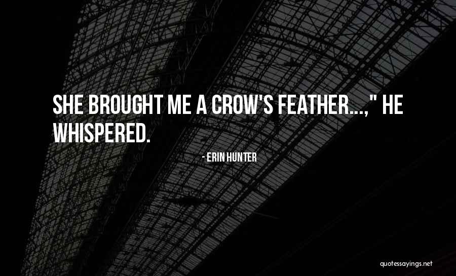 679 Fetty Quotes By Erin Hunter 679 Fetty Quotes By Erin Hunter