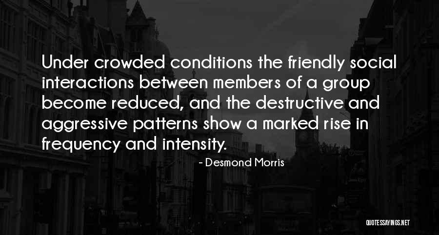 679 Song Quotes By Desmond Morris 679 Song Quotes By Desmond Morris