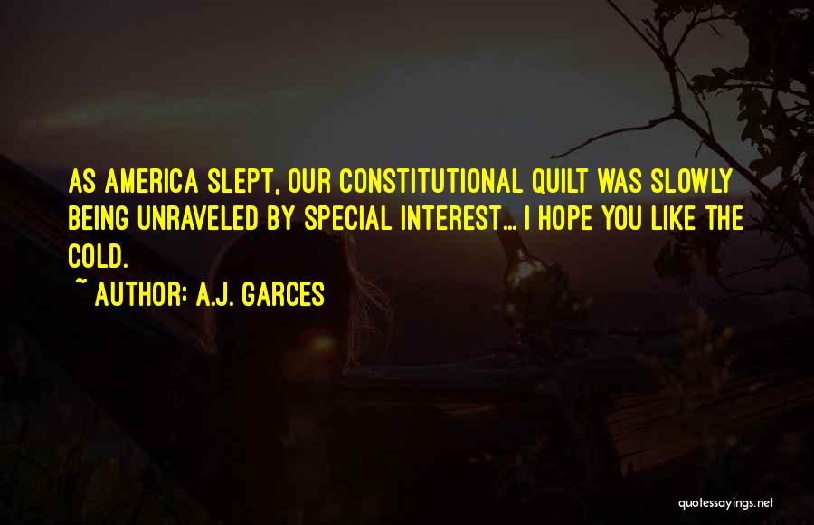 A.J. Garces Quotes: As America Slept, Our Constitutional Quilt Was Slowly Being Unraveled By Special Interest... I Hope You Like The Cold.