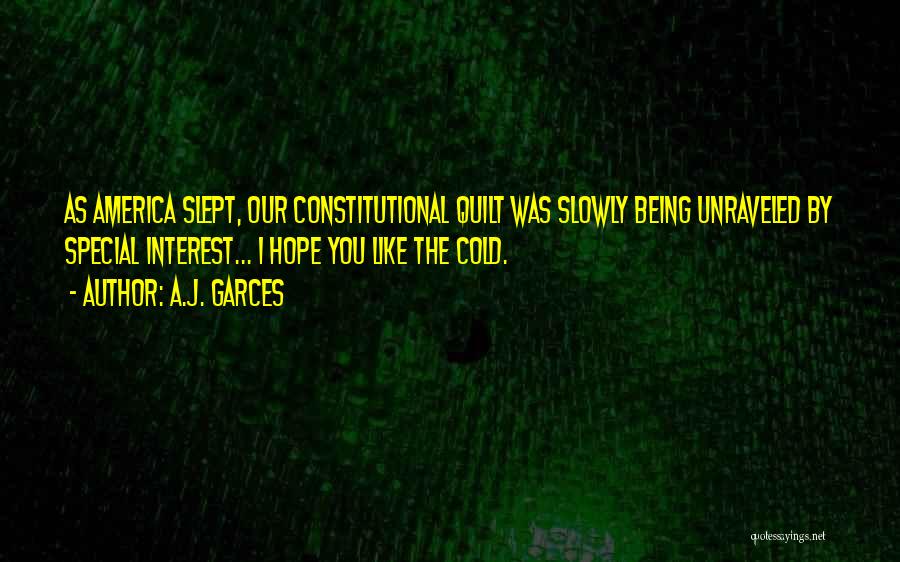 A.J. Garces Quotes: As America Slept, Our Constitutional Quilt Was Slowly Being Unraveled By Special Interest... I Hope You Like The Cold.