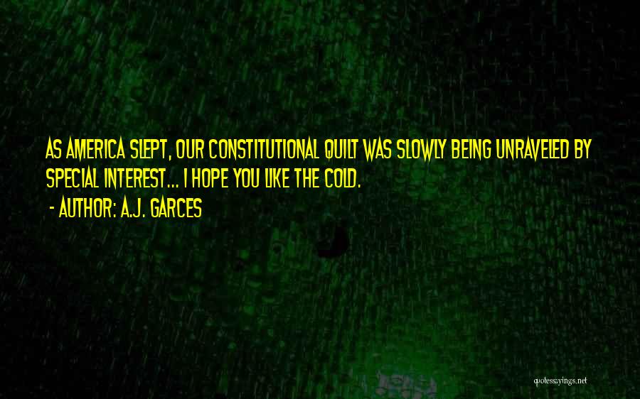 A.J. Garces Quotes: As America Slept, Our Constitutional Quilt Was Slowly Being Unraveled By Special Interest... I Hope You Like The Cold.