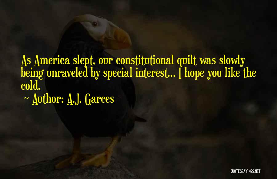 A.J. Garces Quotes: As America Slept, Our Constitutional Quilt Was Slowly Being Unraveled By Special Interest... I Hope You Like The Cold.