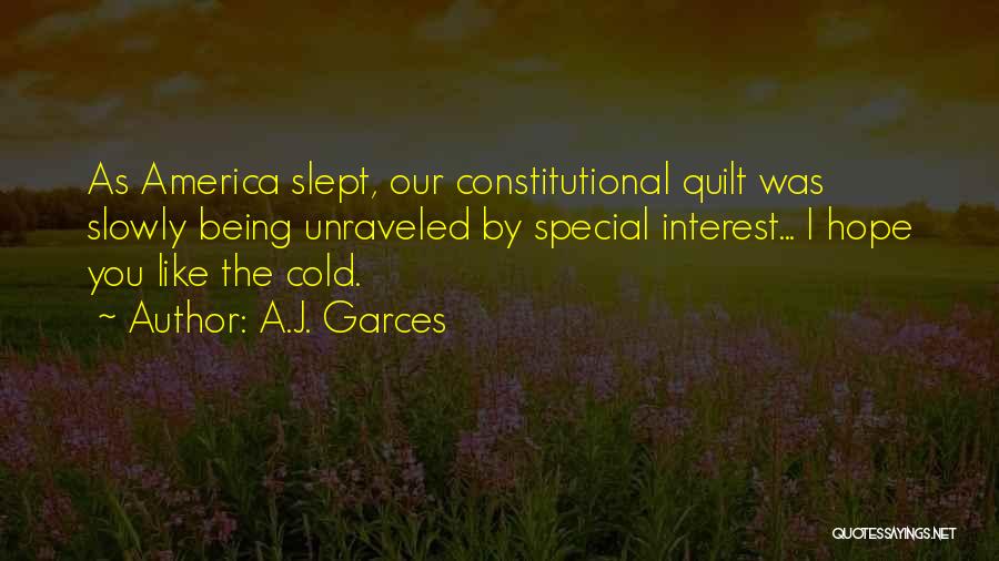 A.J. Garces Quotes: As America Slept, Our Constitutional Quilt Was Slowly Being Unraveled By Special Interest... I Hope You Like The Cold.