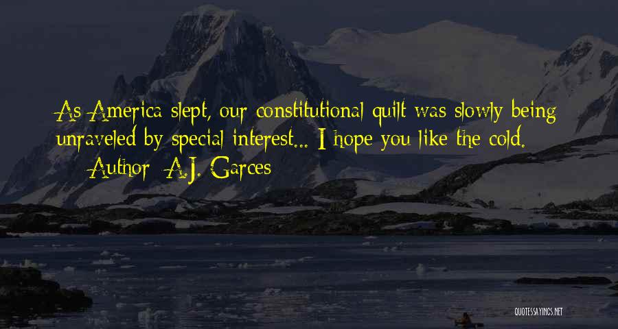 A.J. Garces Quotes: As America Slept, Our Constitutional Quilt Was Slowly Being Unraveled By Special Interest... I Hope You Like The Cold.