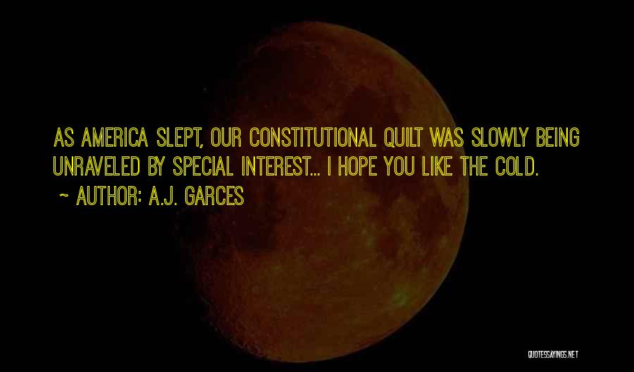 A.J. Garces Quotes: As America Slept, Our Constitutional Quilt Was Slowly Being Unraveled By Special Interest... I Hope You Like The Cold.