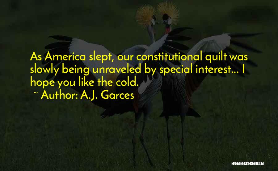 A.J. Garces Quotes: As America Slept, Our Constitutional Quilt Was Slowly Being Unraveled By Special Interest... I Hope You Like The Cold.