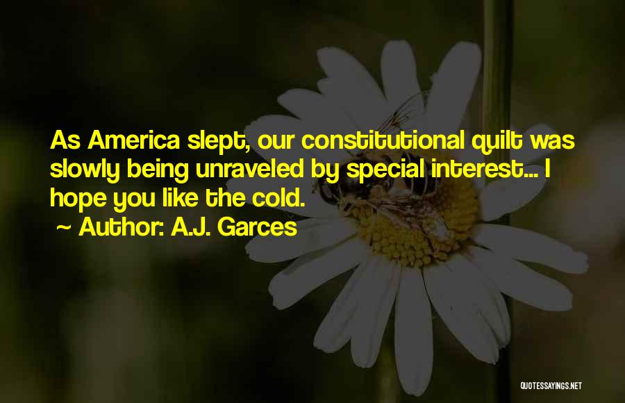 A.J. Garces Quotes: As America Slept, Our Constitutional Quilt Was Slowly Being Unraveled By Special Interest... I Hope You Like The Cold.