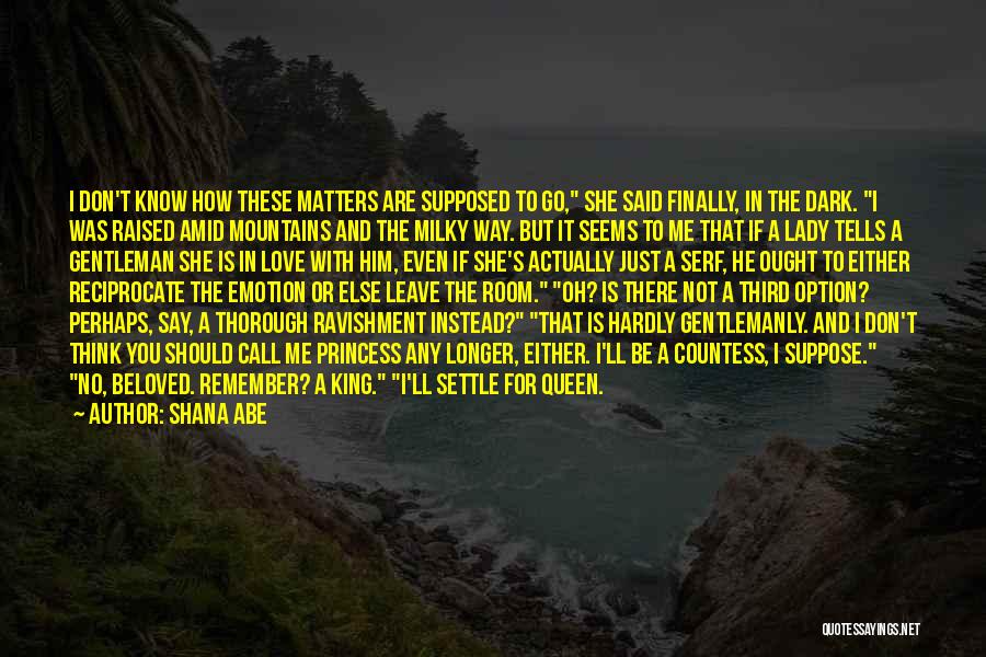 Shana Abe Quotes: I Don't Know How These Matters Are Supposed To Go, She Said Finally, In The Dark. I Was Raised Amid