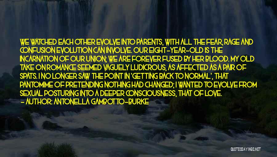 Antonella Gambotto-Burke Quotes: We Watched Each Other Evolve Into Parents, With All The Fear, Rage And Confusion Evolution Can Involve. Our Eight-year-old Is