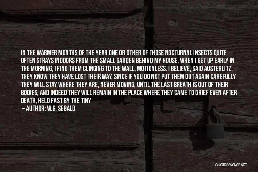 W.G. Sebald Quotes: In The Warmer Months Of The Year One Or Other Of Those Nocturnal Insects Quite Often Strays Indoors From The