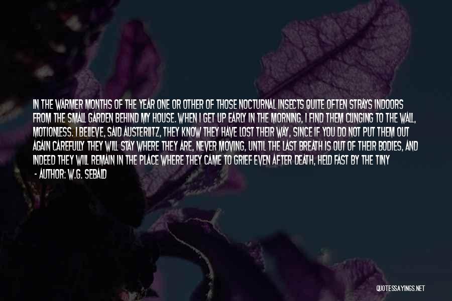 W.G. Sebald Quotes: In The Warmer Months Of The Year One Or Other Of Those Nocturnal Insects Quite Often Strays Indoors From The