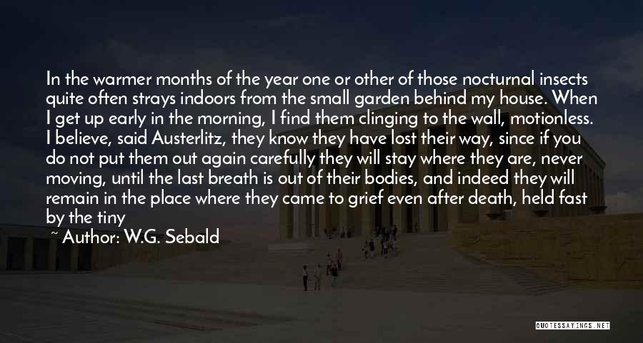 W.G. Sebald Quotes: In The Warmer Months Of The Year One Or Other Of Those Nocturnal Insects Quite Often Strays Indoors From The