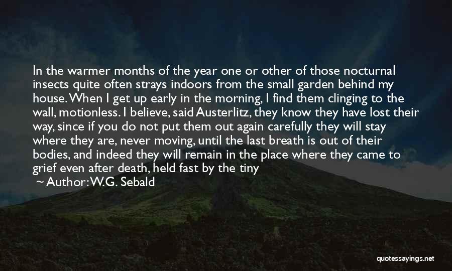 W.G. Sebald Quotes: In The Warmer Months Of The Year One Or Other Of Those Nocturnal Insects Quite Often Strays Indoors From The