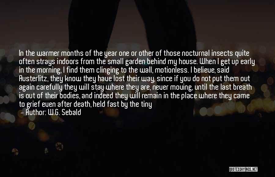 W.G. Sebald Quotes: In The Warmer Months Of The Year One Or Other Of Those Nocturnal Insects Quite Often Strays Indoors From The