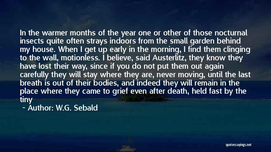 W.G. Sebald Quotes: In The Warmer Months Of The Year One Or Other Of Those Nocturnal Insects Quite Often Strays Indoors From The