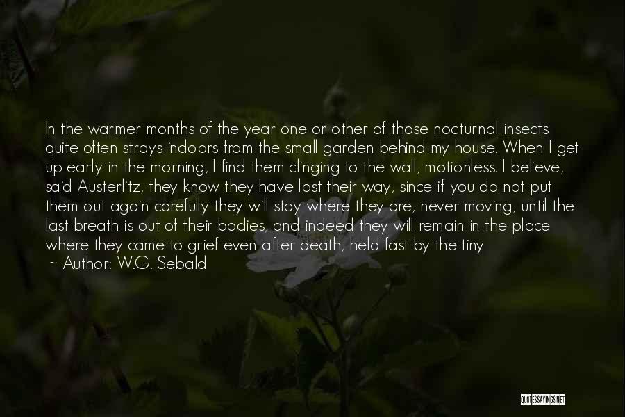 W.G. Sebald Quotes: In The Warmer Months Of The Year One Or Other Of Those Nocturnal Insects Quite Often Strays Indoors From The